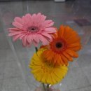 행운식품 롯데마트중계점 | 26.6.30.~7.12. 밀린일기 일상 기록하기 따봉 부엉아 부탁해
