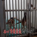 자연동물병원 이미지