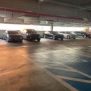 첨단모밀집 | 광주 첨단 맛집 돈까스 정성카츠 여기 추천해요!