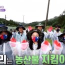 보나페리치타