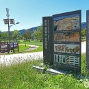 용암리선사유적 이미지