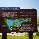 세종수상레저