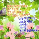 오월에 Daum카페