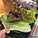 정통쌈밥 | [익산맛집] 가성비 최고 우렁쌈밥 맛집, 익산 이리 원조 정통쌈밥 본점 방문후기