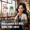 달고운청정사교마을 | 국내 드라이브 코스 추천, 설레는 주말 나들이!