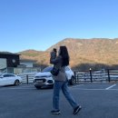 베이커달리아 이미지