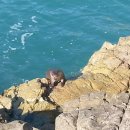 낚시인의 집 이미지