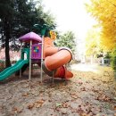 우방청자 이미지