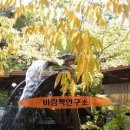 [♥사랑모/맛집] 강화 석모도 - 보문사 '물레방아 식당'... 이미지