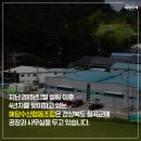해담수산협동조합