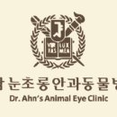 닥터캣 고양이병원 이미지