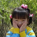 솔숲유원지 이미지