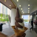 진한소프트 이미지