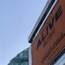 피카디리홀 | MINI Concert AL!VE 월간 종로 : 양다일 콘서트 CGV 피카디리홀 좌석 시야 후기