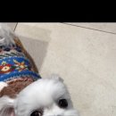 동부산관광7로 이미지