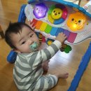 개구쟁이 이미지