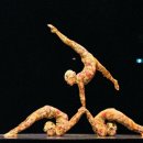 일신인터내셔날 이미지