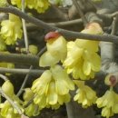 계룡산한의원 이미지