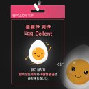 성수 에스테틱 약손명가 성수점 에그셀런트관리 리프팅 후기