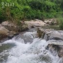 몽리치 이미지