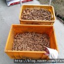 무주천마농장 이미지