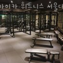 자마이카 휘트니스 이미지