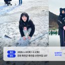 에스케이렌터카홍천지점