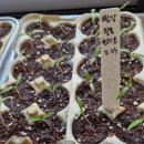 곡성어린이도서관 | 3월 둘째주 곡성 농촌유학 일상