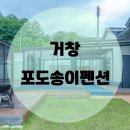 포도송이풀빌라 이미지