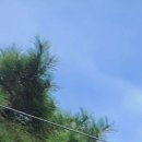 여주-0600 이미지