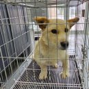 우리들 동물약품 이미지