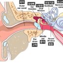 네츄럴 바디 휘트니스 이미지