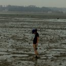 갯벌생태 체험장 이미지