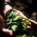 빙도마을 이미지