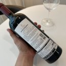피오네로Pionero