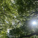 (주)메건 | 짜증나는 해외 의료시스템😢/단골손님 샤논이야기&amp;메건의 데이트어플 썰/ 전 직장에서 만났던 단골손님을...