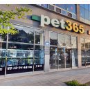 펫365 강아지분양 고양이분양 전주본점 이미지