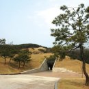 무령왕릉 Daum카페