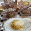 호텔통연동 | 제주 조개찜맛집 '제주조개창고', 제주연동맛집