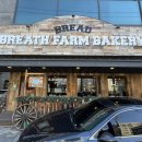 [서부] 건강빵과 발효종(2025) | 강남 빵맛집 브리팜 베이커리 국악고근처 베이커리카페 후기