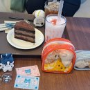 차차노래연습장 이미지