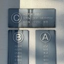 프리독펜션B | 충남 강아지와 가기 좋은 논산 프리독 펜션 댕댕이방 후기