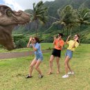 밀드플레 이미지