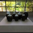 원리 농구장 이미지