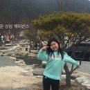도둑골야영장 네이버블로그