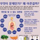 송정동-10 이미지