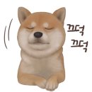 스시쿄다이 이미지