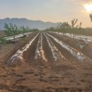 경은농장 이미지