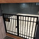 호텔 독스 | 디어독스 김해공항 근처 반려동물호텔 후기