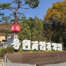 용인자연휴양림 | 경기 용인 용인단풍구경 용인데이트 용인자연휴양림 방문 후기 - 입장료, 주차요금 안내